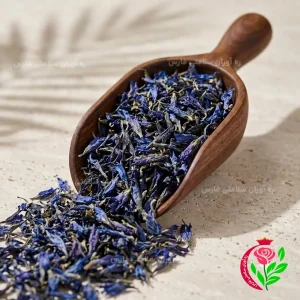 گل گاوزبان اصیل ایرانی
