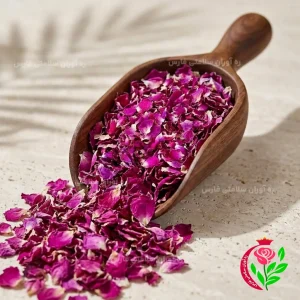 پر گل محمدی اعلا و خوش‌عطر