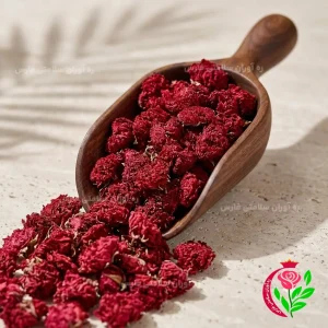گلنار فارسی (گل انار) اصیل