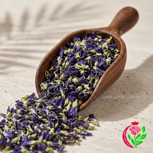 گل پنیرک بنفش دارویی