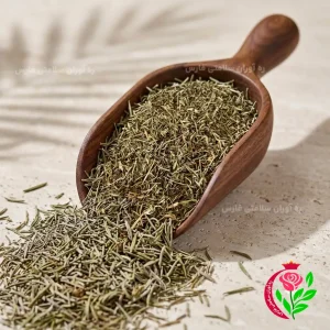 گیاه آویشن باریک کوهی