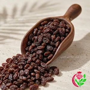 کشمش تازه و باکیفیت