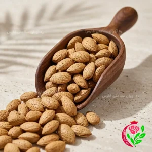 بادام درختی خام با کیفیت عالی