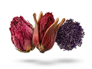 گیاهان دارویی
