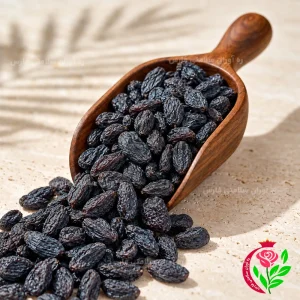 مویز